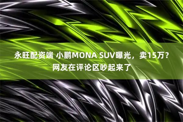 永旺配资端 小鹏MONA SUV曝光，卖15万？网友在评论区吵起来了
